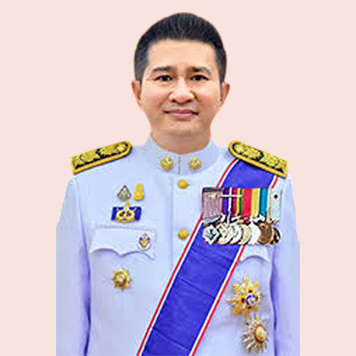 นายชัยนรงค์ วงศ์ใหญ่